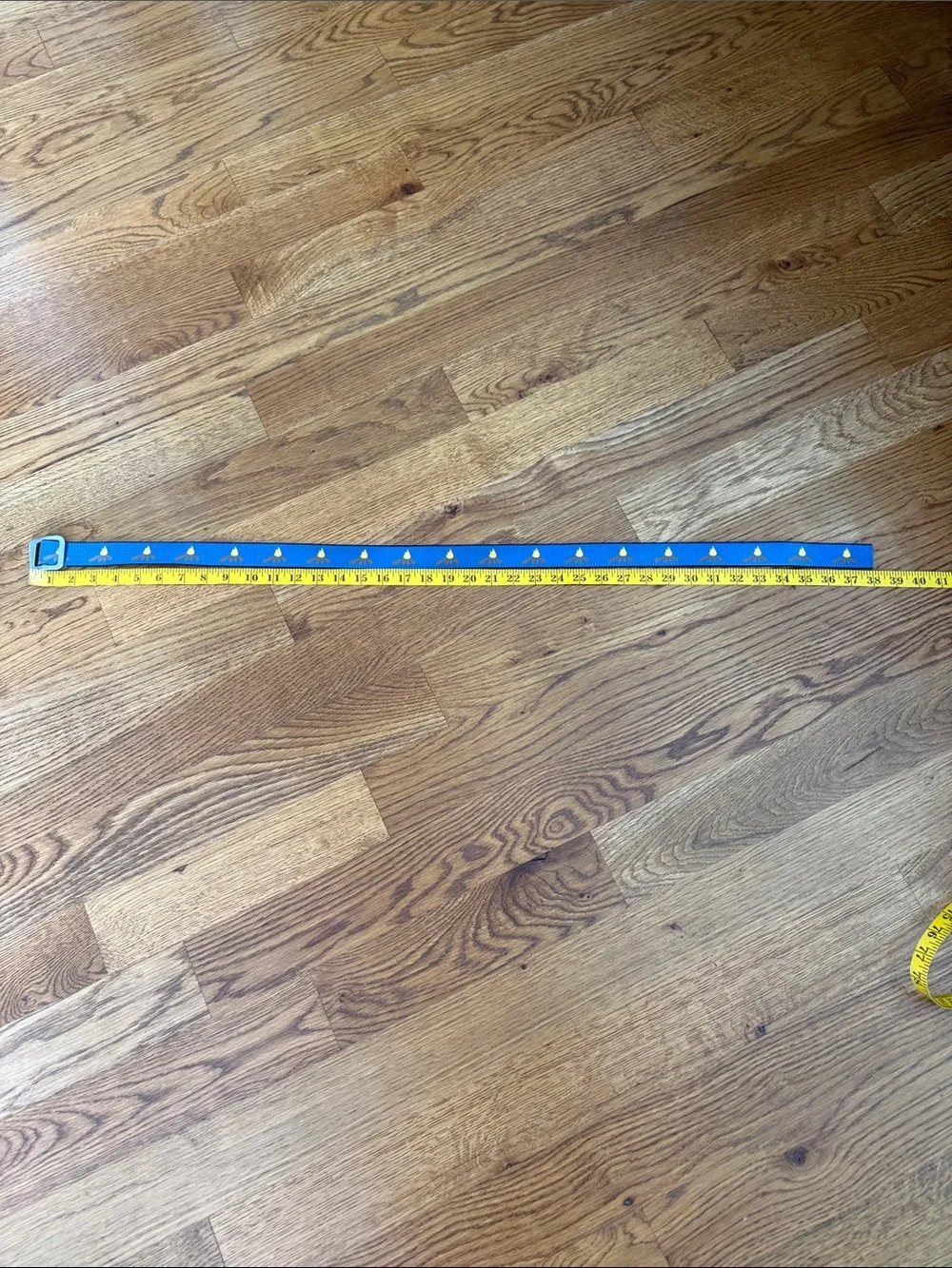 Thomas Bates Campfire Web Belt Blue Made in USA Adjustable 38”